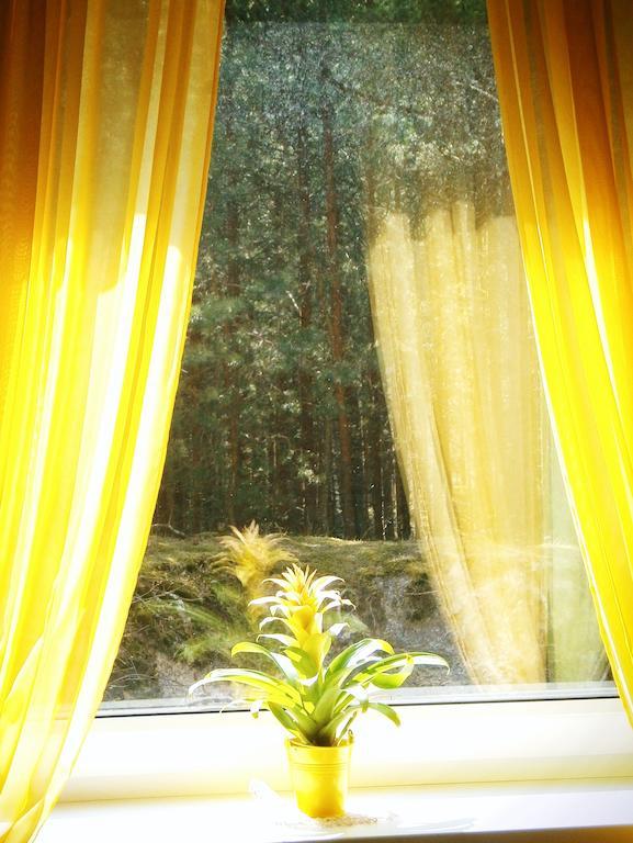 Apartments Isle Of Pinecones Nido Chambre photo